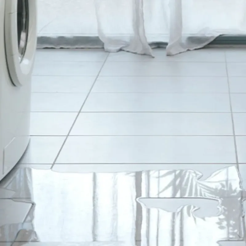 Appliance Leak Cleanup in Lake Worth, TX